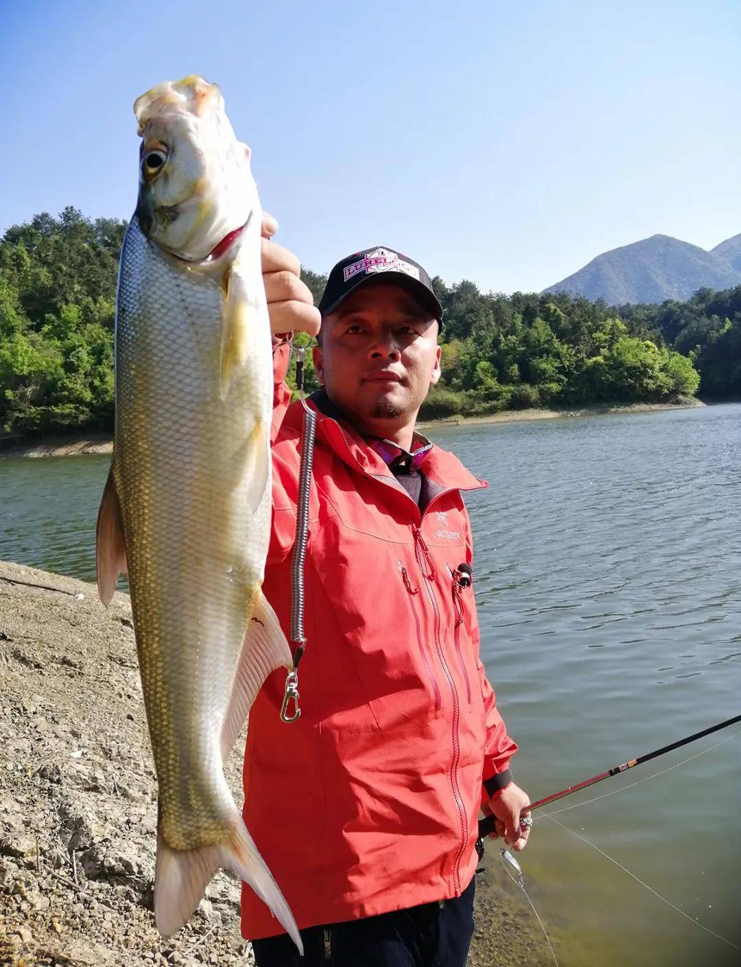 绫罗路亚陈知其探钓柘林湖路亚翘嘴鲌