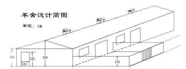 彩鋼搭羊圈,幾種方案簡單又方便_建設