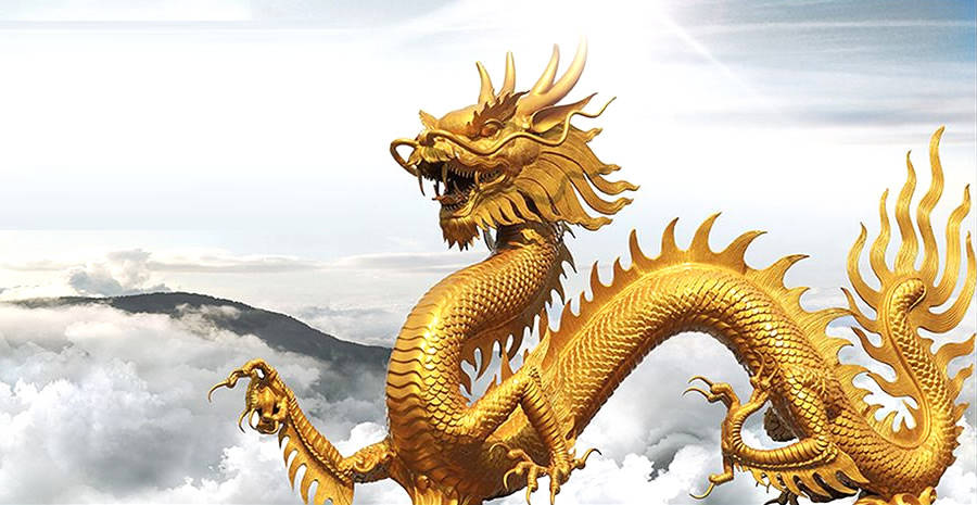 龙回头!掌握这规律,散户也稳赚