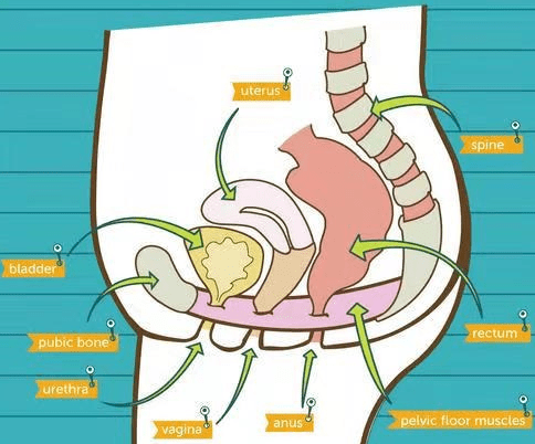 郭碧婷怀孕实锤?一边保持纸片人身材一边备孕可太难了!