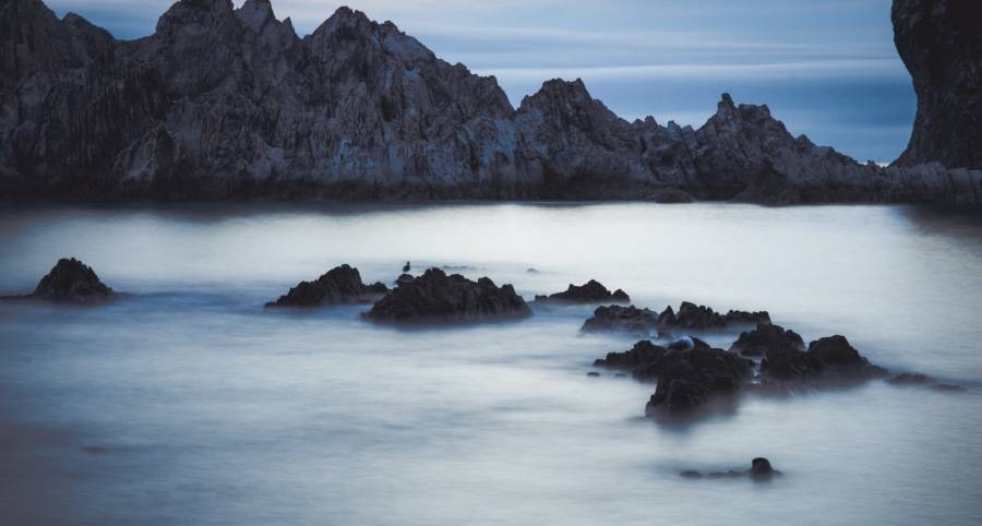 5月一线家电市场的竞争新变化:京东天猫抢商家、美的格力抢用户-家电圈官网