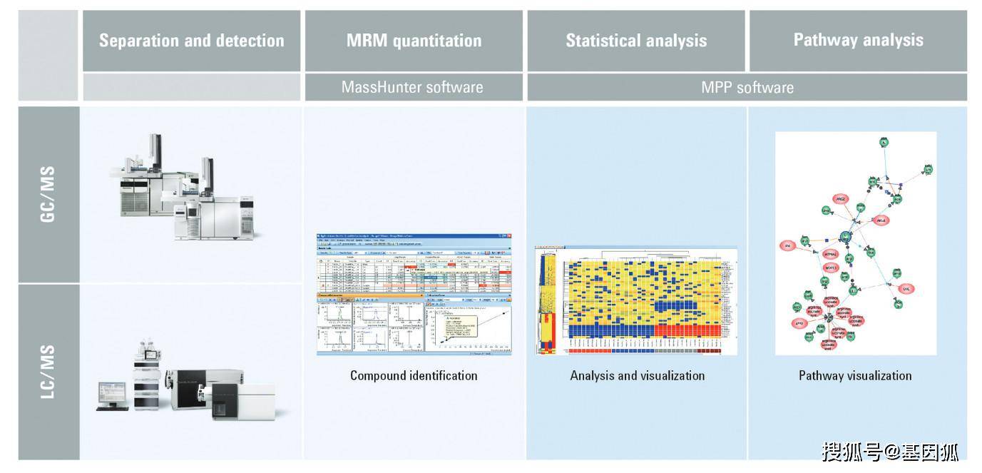 科普 | 代谢组学研究那些事儿_进行