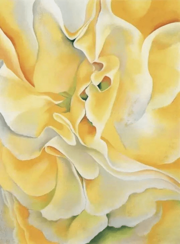 okeeffe / 美国现代主义绘画| jazza 艺术家_乔治娅·奥·吉弗