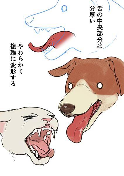 肉食系的动物嘴部绘画技巧_嘴巴