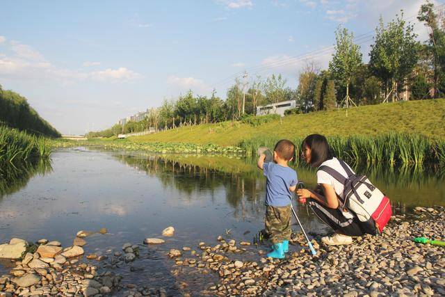 原創北京五環內的小眾溼地公園,可撈魚可玩水,人少還免費