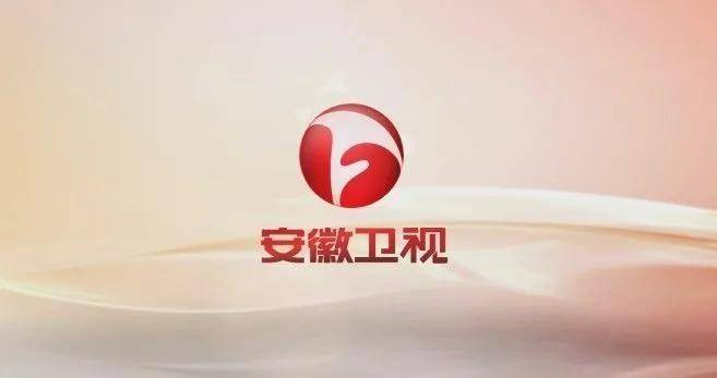 安徽卫视广告2009图片