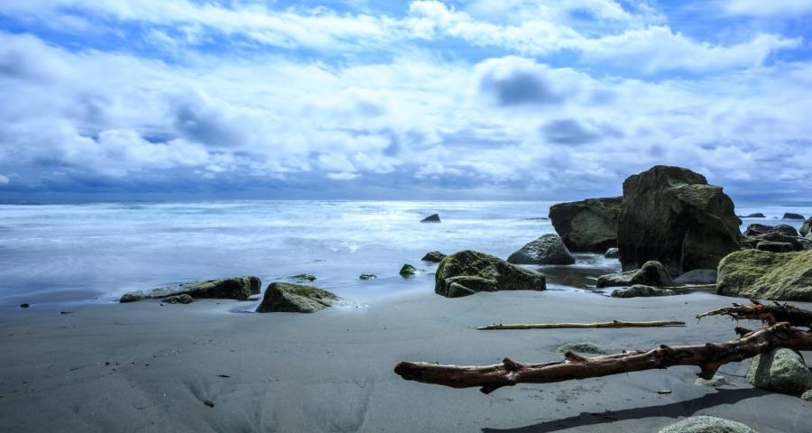 拼多多京东争抢国美，天猫苏宁如何接招？家电零售格局强势生变-家电圈官网