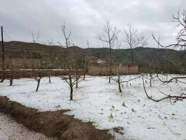 天水多地遭遇冰雹灾害 查灾救灾正在进行_秦州区