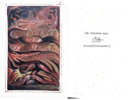 诗歌是治愈灵魂创伤的良方——雪雁书评《威廉·布莱克旅馆的一次访问》_经验