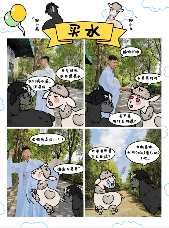 神兽出笼盘龙大观园热情招待两位羊驼游客过六一