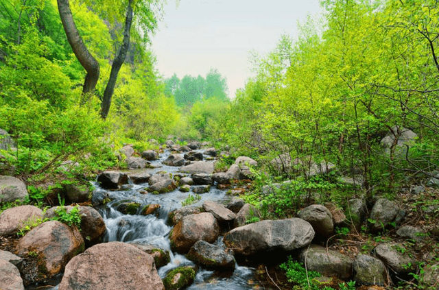 藏在北京的避暑勝地有山有水有花有草距城區僅有10公里