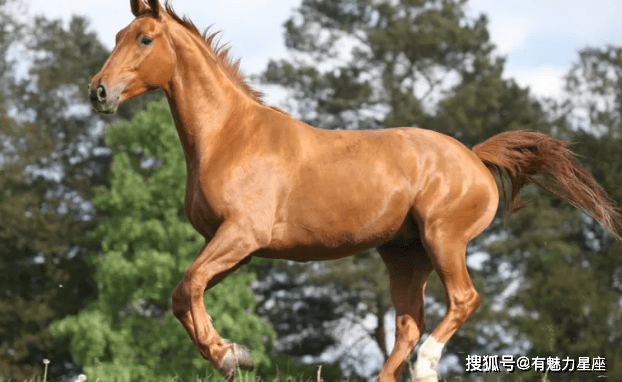 财大气粗的"生肖马",未来6天囍囍囍"不请自来",马上行动吧!