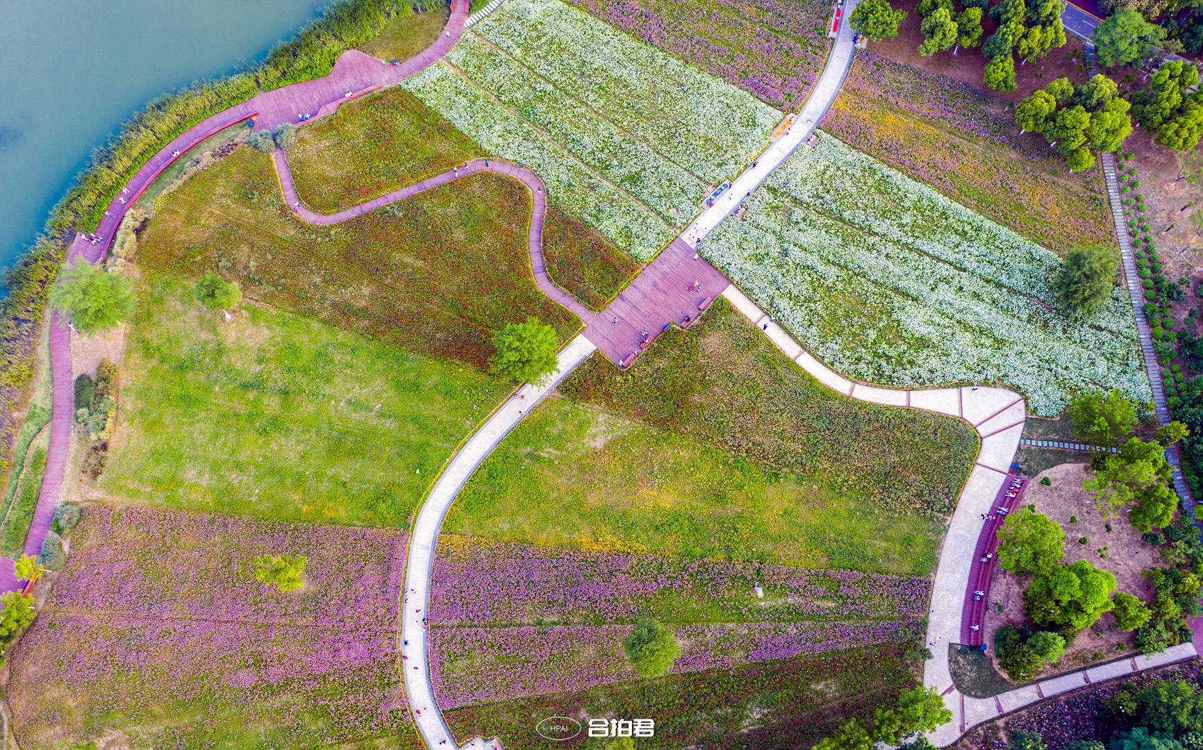 四季花海,現在建成一二三期,是合肥夏天裡的一道亮麗的風景.