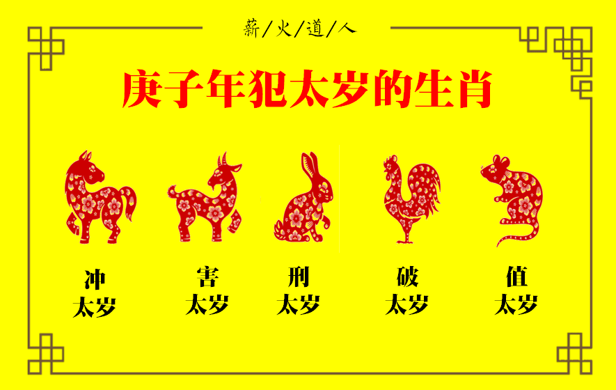生肖运势2025逐月运势(生肖运势2025逐月运势解析)