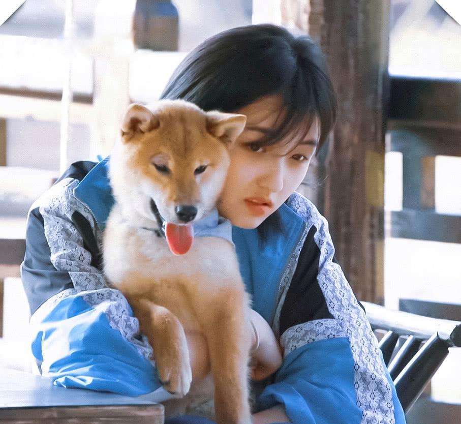 原创黄小厨调侃张子枫找你拍戏要多少片酬9个字回答情商很高