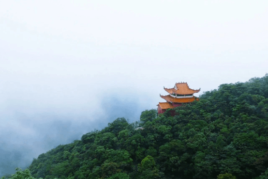 再添國字號大明山國家級自然保護區榮獲國家森林康養基地第一批榮譽