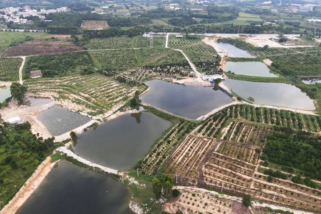 一份来自红江农场的报告他服务的养殖户年均收入超15万