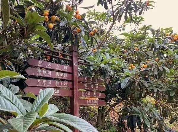 巍巍娄山关 神秘海龙屯 | 遵义汇川区全域旅游彰显魅力