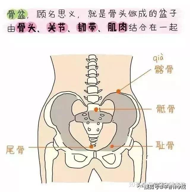 肌肉和痛哂猩燜跣,也值得懷疑!