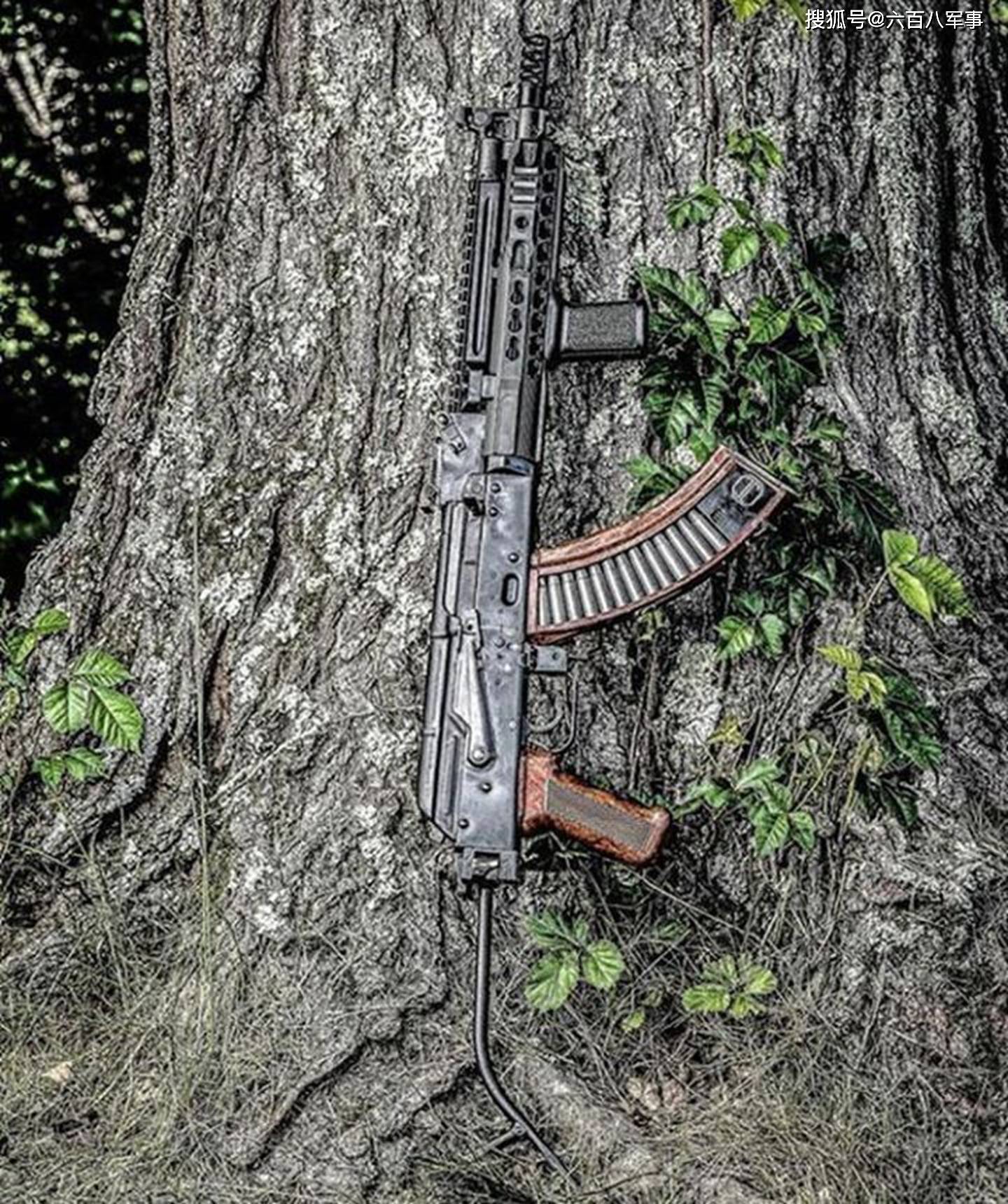 轻武器欣赏,步枪系列《一》,喜欢的收好吧