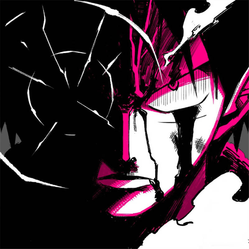 原创《海贼王》成员战斗定格画面!黑色剪影又帅又酷,看到艾斯就泪目