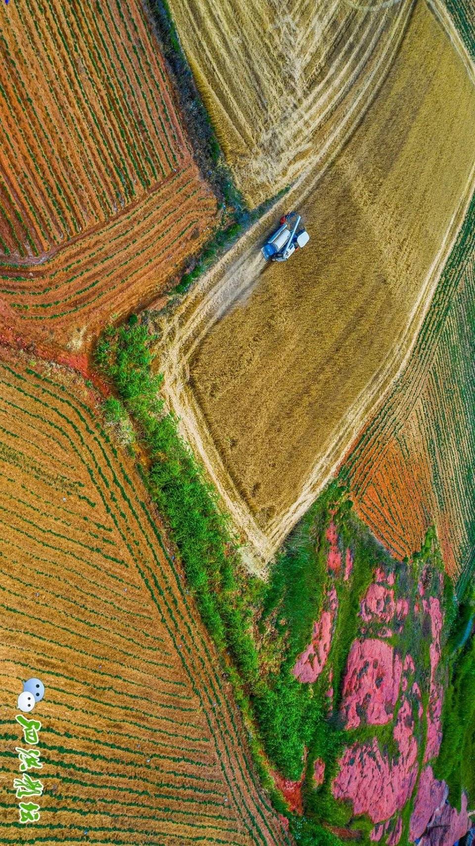 江苏泗洪重岗红土地色彩斑斓引客来