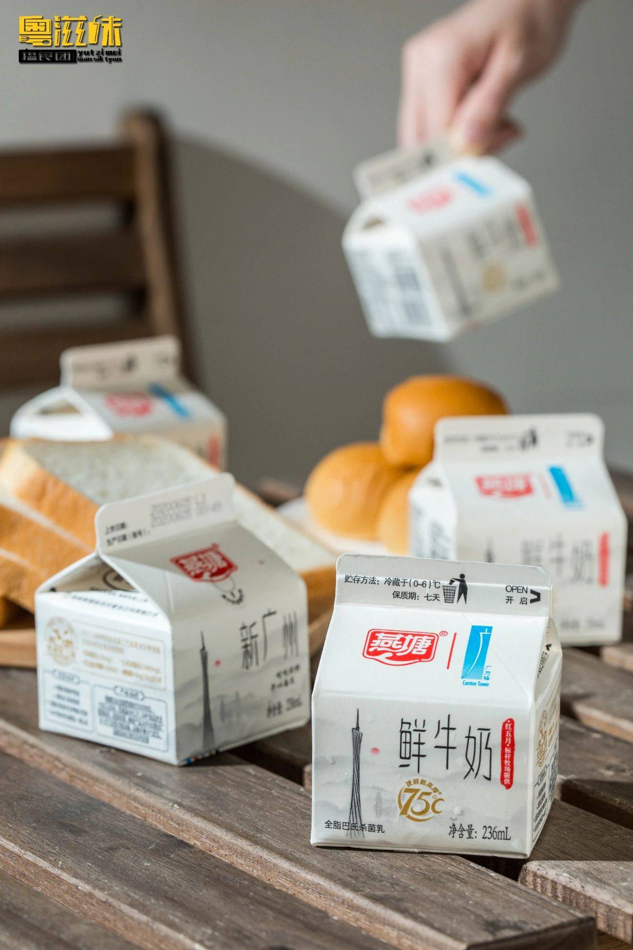 燕塘牛奶x广州塔给你75℃鲜活力!