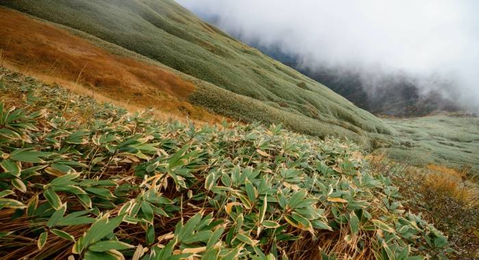 京东天猫苏宁们，会成为家电业新的全国总代理吗？-家电圈官网