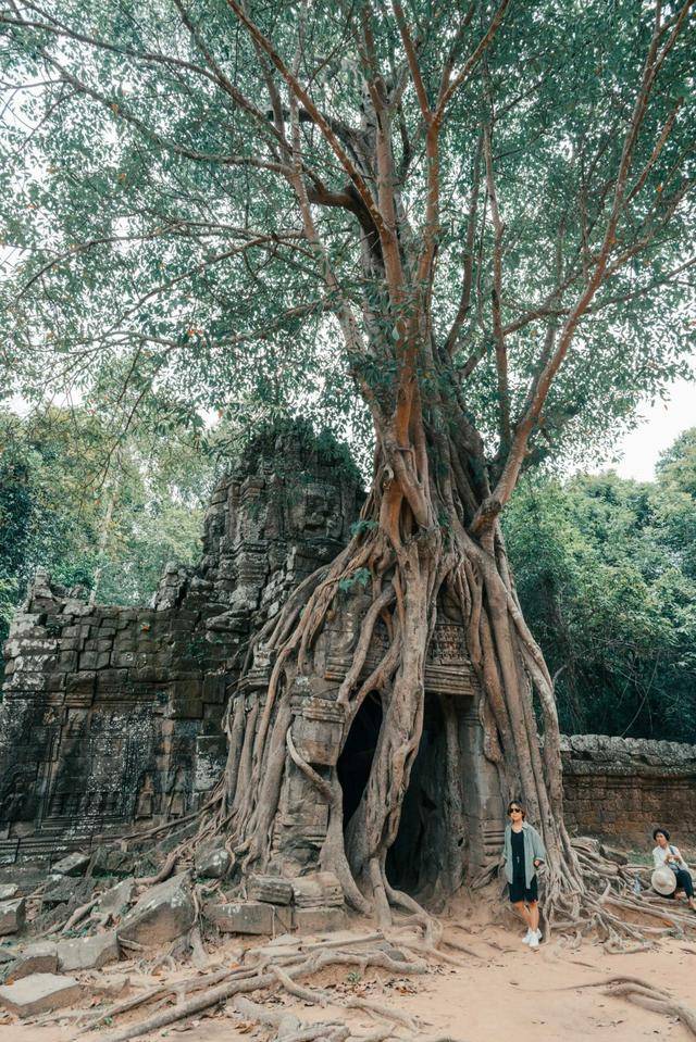 原创柬埔寨有名的"树包塔",是缩小版的塔布隆寺,最大的看点是个门