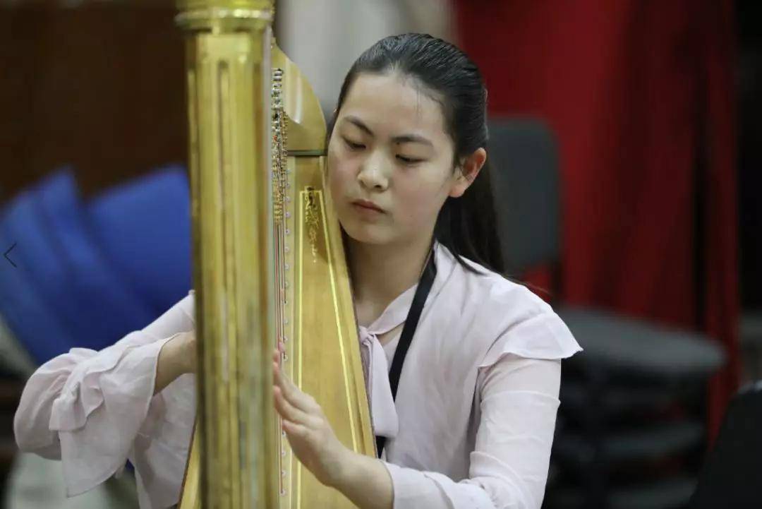 "我为乐队镶金边"——竖琴演奏家郭悦