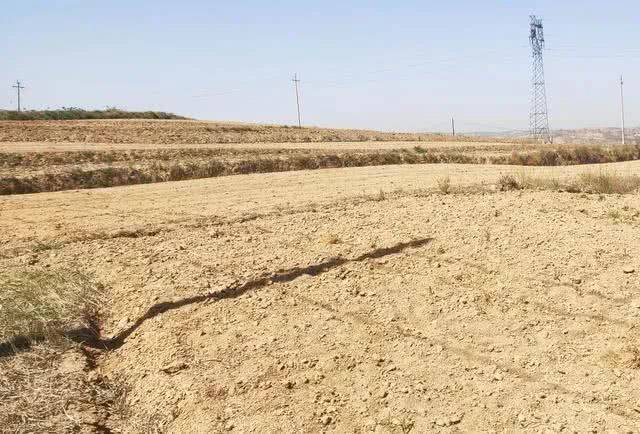 势严峻!目前,这些地方正在遭受旱情