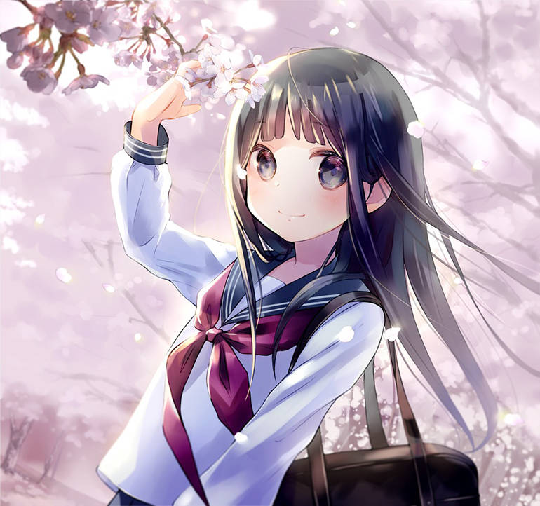 春天樱花的粉色光的蒙银杏叶的光阴蒙阳光照射在黄衣黄发的黄光蒙舞台