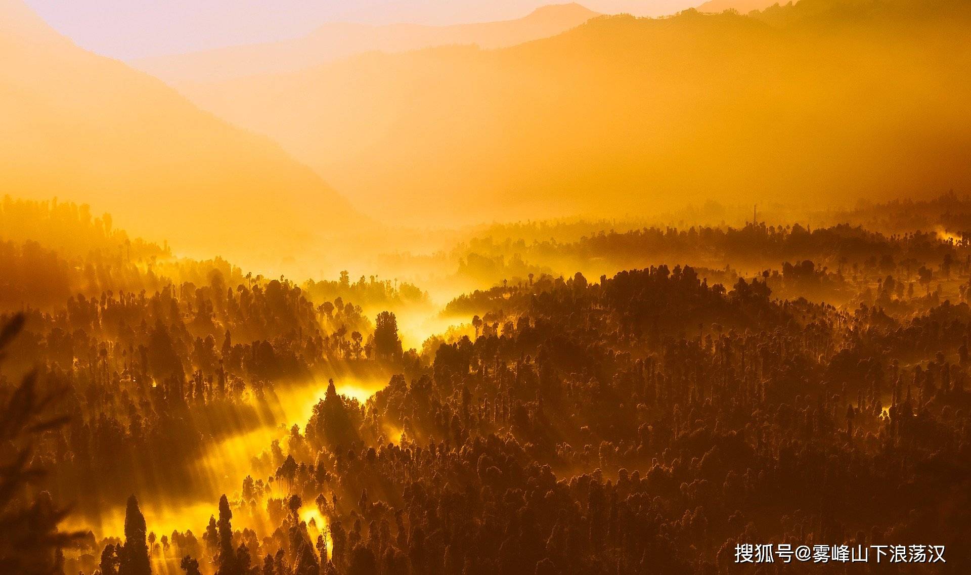 原创短篇小小说送报