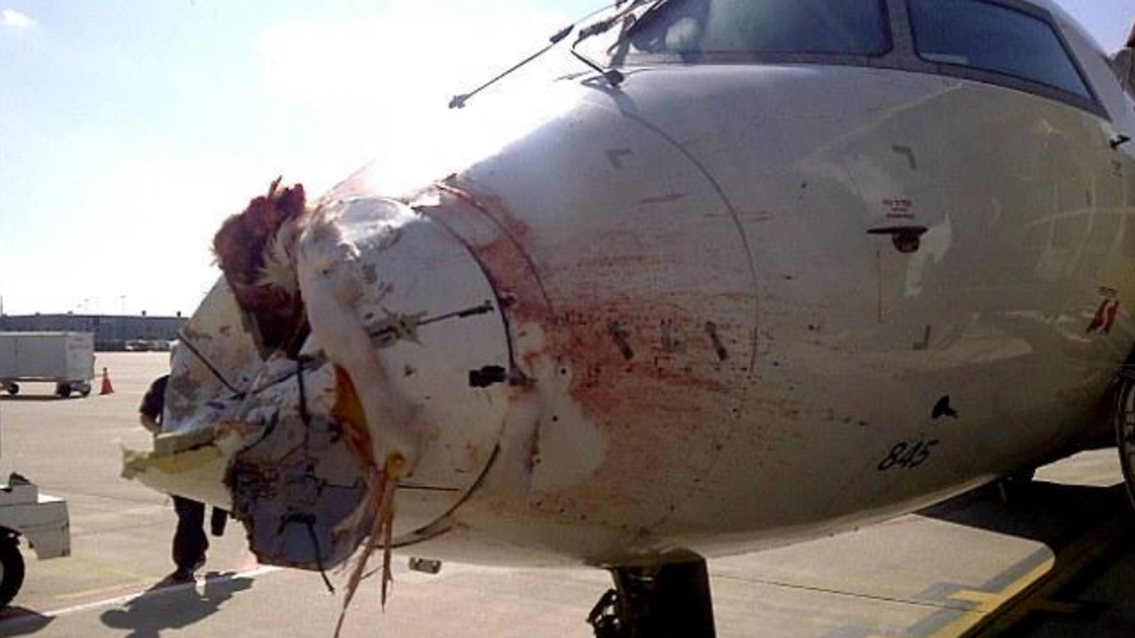 国产大飞机c919订单超800架!带你了解新飞机艰难的适航取证之路