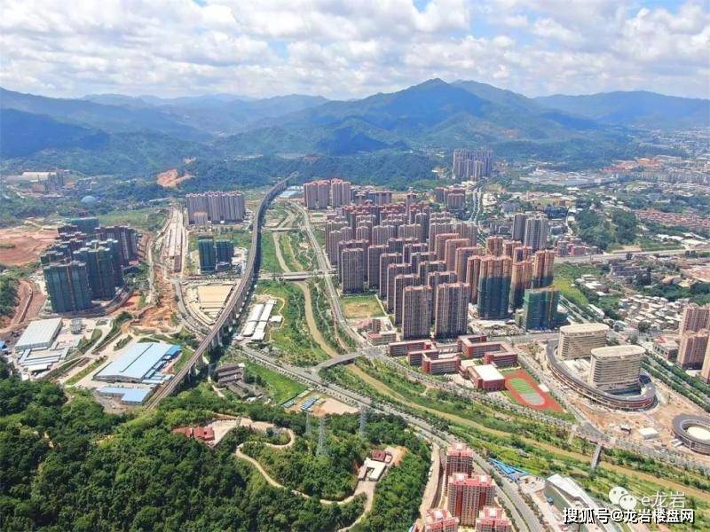 (东山板块新貌全景)