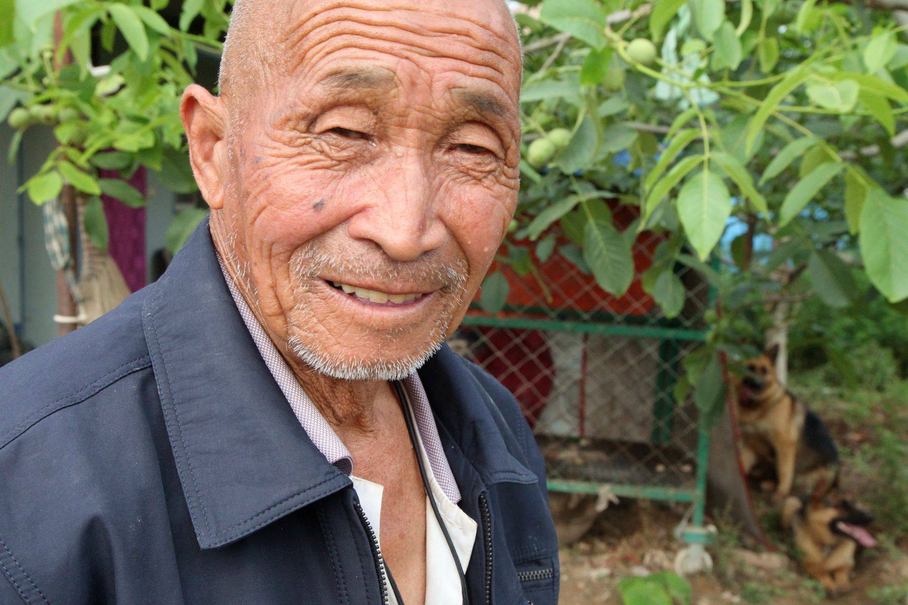 77岁农村老人养1条德牧,卖小狗成抢手货年赚5000元,看长啥样