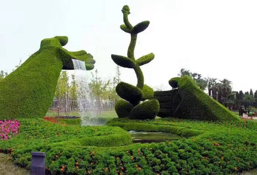 江苏景盛源绿雕丨绿雕厂家五色草造型,真植绿雕常用植物特性