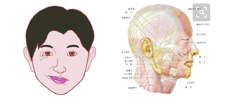 面神经痉挛 来自搜狐网