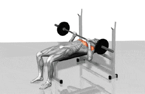 超过女朋友的那种_胸肌