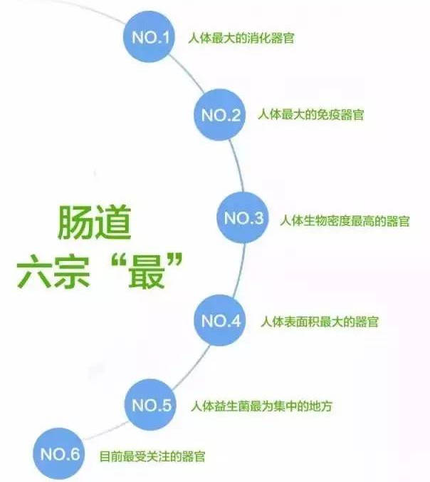 肠道不健康的六大表现,你有吗?