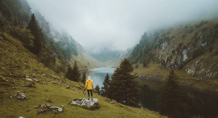 市场会变好还是更差？家电厂商的关键是找到新活法-家电圈官网