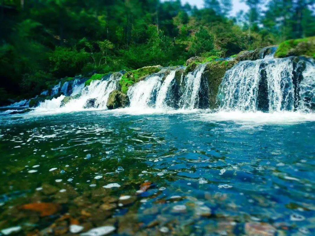 贵州百鸟河酒店避暑房来啦!包吃住
