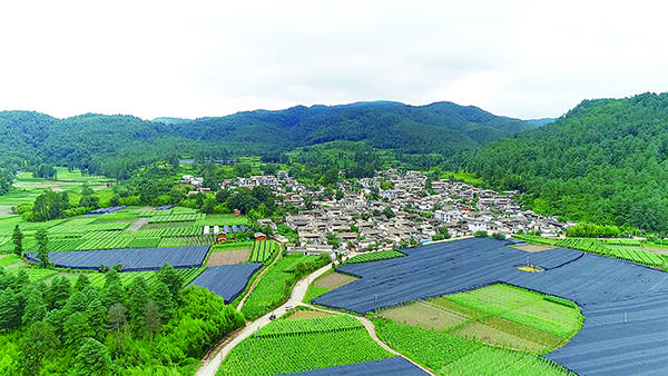 内外兼修黄草坝玉溪市红塔区黄草坝村示范创建铺开新画卷