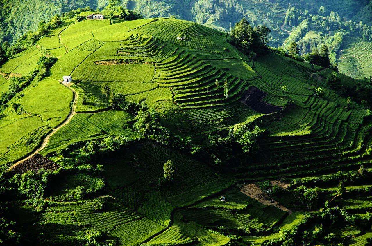 各大影视剧的取景圣地,云海,青山,大海……_茶山