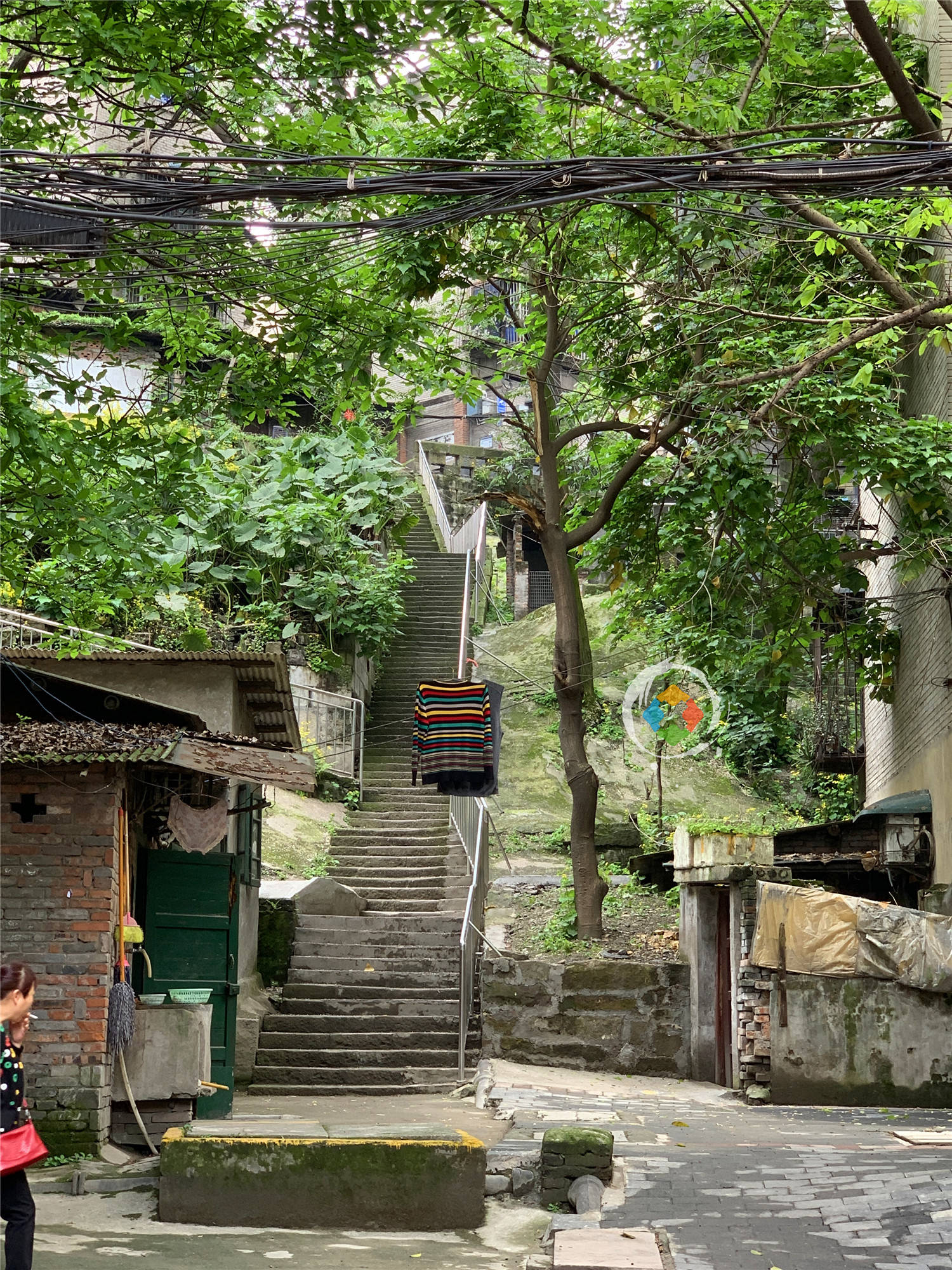 重庆黄桷坪的拆迁地带,一间砖房被打造成书屋