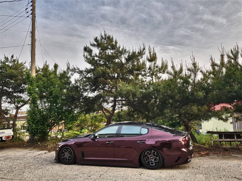 起亚斯汀格(stinger)是起亚旗下一款中大型车, 于2017年北美车展中