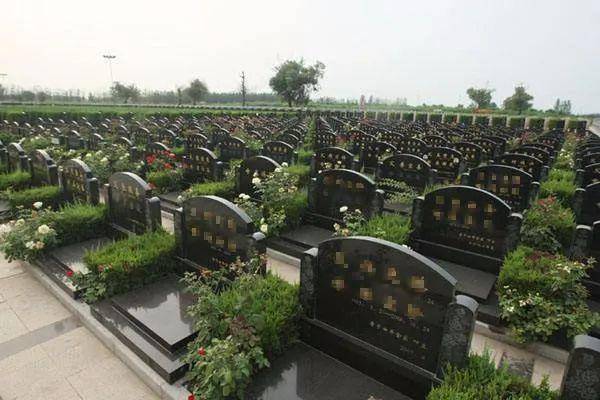 「一周要闻」青海省启动殡葬事业发展规划编制工作