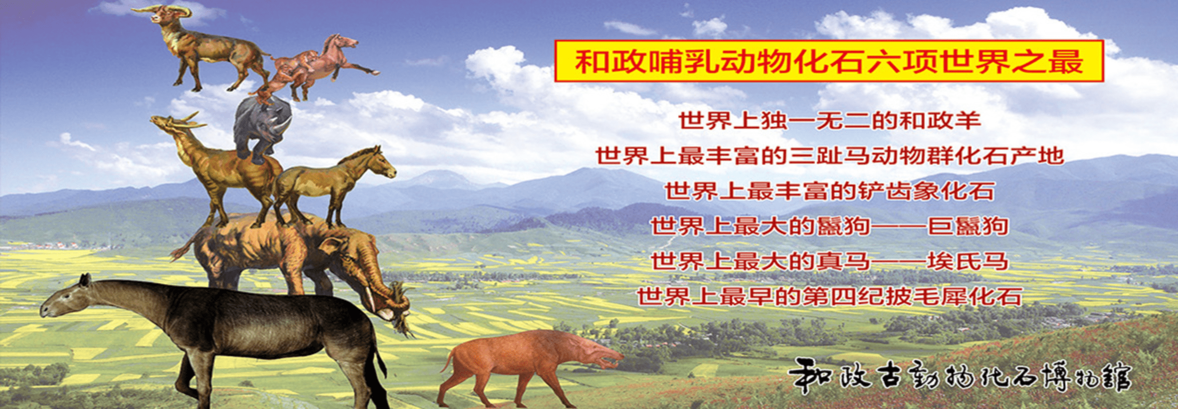 和政作为"古动物化石之乡",有世界上最丰富的铲齿象化石,是世界上最
