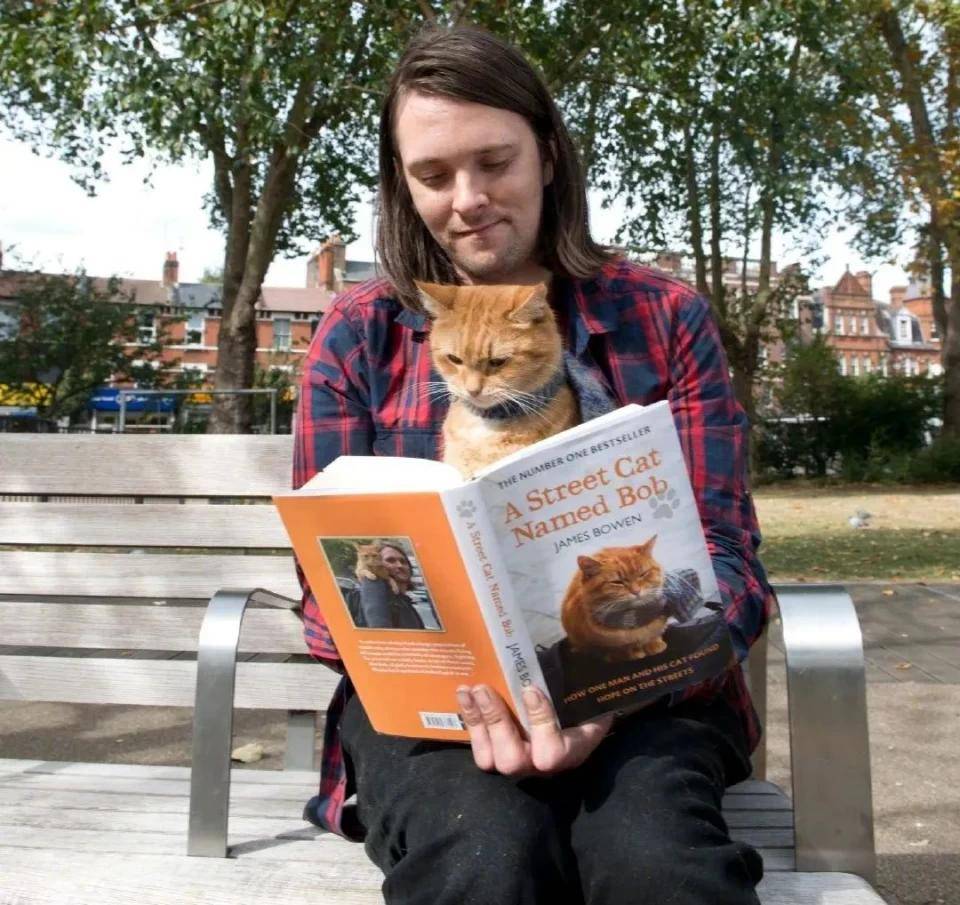 却不如鲍勃魅力在一次探班中征服了导演,最终电影中的猫就是鲍勃本尊