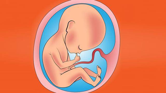 原创宝宝最后才发育成熟的器官,一定要做好准备